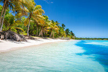 Tropical Paradise: Idyllic Caribbean Beach With Palm Trees, Punta Cana, Saona