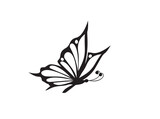 Fototapeta Motyle - butterfly icon silhouette. beautiful flying butterfly.