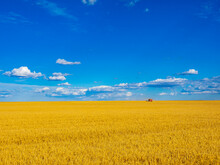 Harvesting Grain On The Canadian Prairies