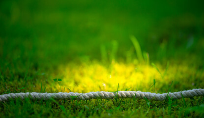 A white rope on the green grass. A long white rope is lying on the ground. Summer background for decoration.