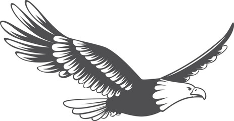 Poster - Flying eagle logo. Black power bird symbol