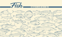 A Set Of Fish Illustrations In An Engraved Style. Vintage Fish Market Design. A Frame For Advertising A Fish Products Store.