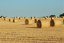 Bales Of Straw In A Corn Field, On The Horizon In The Hills. Harvest Time On A Sunny Summer Day, With A Round Bales And Blue Sky In The Countryside