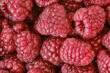 Maliny/raspberries