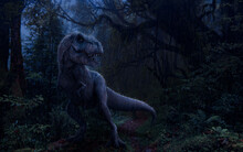 T- REX In A Raining Dark Forest, 3d Illustration Of Dinosaur Isolated On A Dark Background.