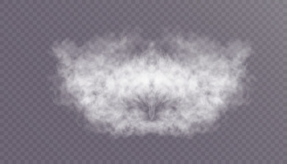Poster - Translucent smoke or foggy cloud isolated on a transparent background. Abstract smoke texture explosion, smog fog effect. Realistic vector illustration.