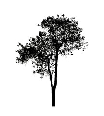 Poster - Tree silhouette for brush on white background.