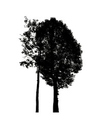 Poster - Tree silhouette for brush on white background.