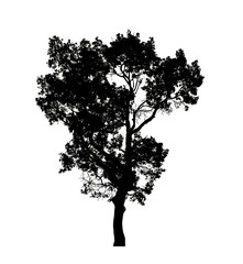 Poster - Tree silhouette for brush on white background.