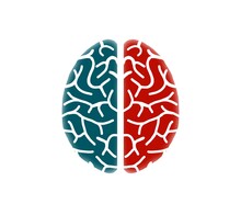 Human Brain. Brain Is One Of The Largest And Most Complex Organs In The Human Body. Human Brain Illustration. Red And Green Human Brain. Central Organ Of Human Body. Medical Icons Concept.
