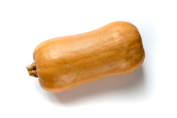 Wall Mural - Butternut squash isolated on white background