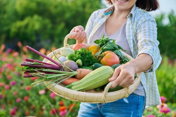 Close up basket of fresh raw organic vegetables in farmer hands