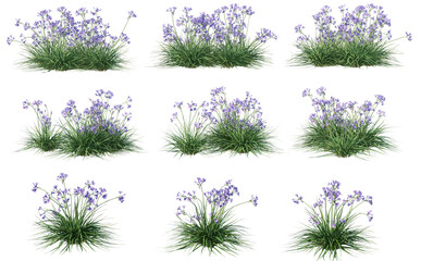 Sticker - Plants and shrubs with flowers on a transparent background.