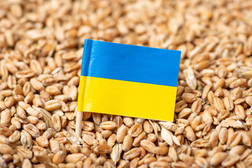 Wall Mural - Flag of Ukraine on wheat grain. Concept of harvest of grain in Ukraine, export of blocked Ukrainian wheat