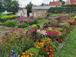 garden with flowers and glasshouse