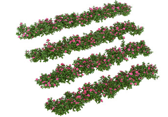 Shrubs and flowers on a transparent background.