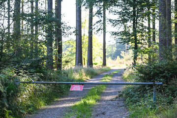 Canvas Print - sentier bois foret propriete privée privé Wallonie Belgique