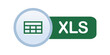 XLS icon. Excel File format symbol Vector illustration. Can be modified as XLSX and XLSM icons.
