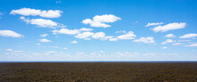 Wide Blue Sky With White Fluffy Clouds Over Vast Flat Plain Of Scrub