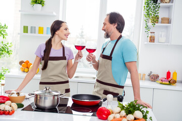 Sticker - Photo of sweet dreamy age boyfriend girlfriend wear aprons enjoy wine cook breakfast indoors room home