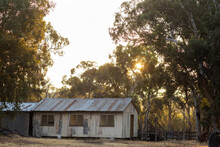 Old Farm Building Surrounded By Gum Trees