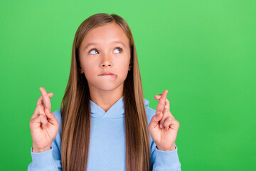 Sticker - Close up photo of funky small girl fingers crossed worry exam results dressed stylish blue sweatshirt isolated on green color background