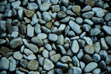 Wall Mural - gray blue pebbles texture. wet small stones background for design.