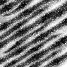 Black White Wild Fun Zebra Animal Print Bling Texture Background