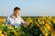 © Ruslan Ivantsov - young agronomist holds a paper chart in his hands and analyzes the sunflower