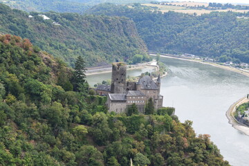 Poster - Burg Katz über dem Rhein