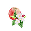 A branch of a flowering apple tree and a ripe apple isolated on a white background. Watercolor drawing for the design of spring banners, invitations, office and posters.