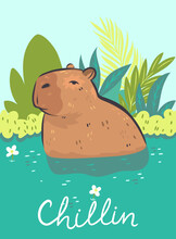 Postcard With A Cute Capybara And An Inscription. Vector Graphics.