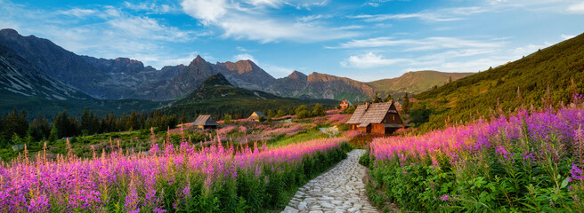 Wall Mural - beautiful summer day in the mountains - hala gasienicowa in poland - tatras