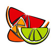  The citrus fruit slices