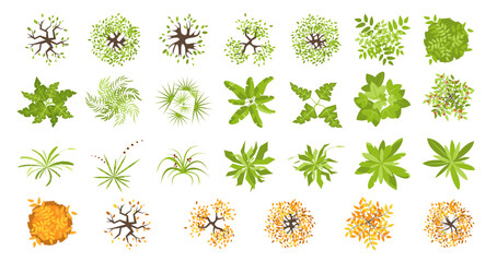 Wall Mural - trees and plants top view for landscape design. icon set of colored trees and grass for architectura