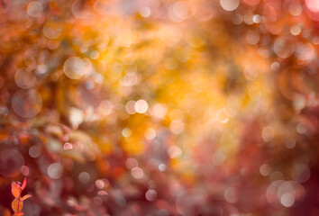 abstract autumn background with bokeh