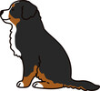 Simple and adorable Mountain Dog illustration Sitting in side view
