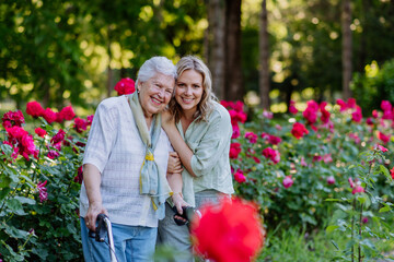 Wall Mural - Portrait of adult granddaughter with senior grandmother on walk in park, with roses at background