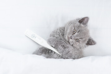 Poster - Funny sick tiny kitten with thermometer looks from under white warm blanket. Top down view