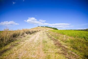 green grass field landscape with fantastic clouds in the backgro