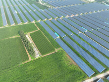 Solar Panels With Farm