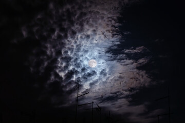 Wall Mural - Full moon at night. The illuminated face of the moon is wrapped in a cloud cover that covers it in a veiled way.