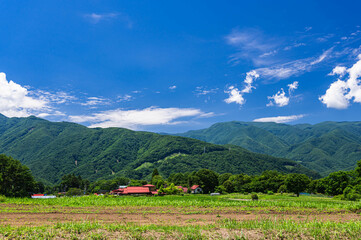 Poster - 富士見町の田園風景　