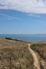 Canvas Print - Sandy path to the beach