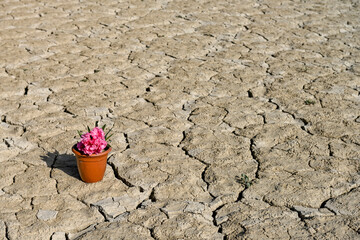 Texture of dry land in southern Europe. Global warming and greenhouse effect.