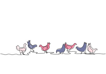 Wall Mural - Single continuous line drawing of several chickens were playing in the fields while looking for food. Successful farming minimalism concept. Dynamic one line draw graphic design vector illustration