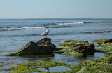 Fototapeta Fototapety z morzem do Twojej sypialni - Wybrzeże Costa Blanca