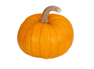 Wall Mural - Organic Sugar Pie Pumpkin, an ideal pumpkin for holiday baking and cooking. Isolated on transparent background.