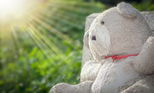 Teddy Bear In The Garden