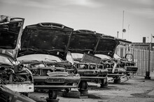 Crashed Cars Lined Up In Car Graveyard